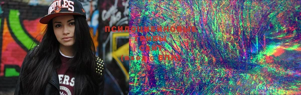 экстази Россошь