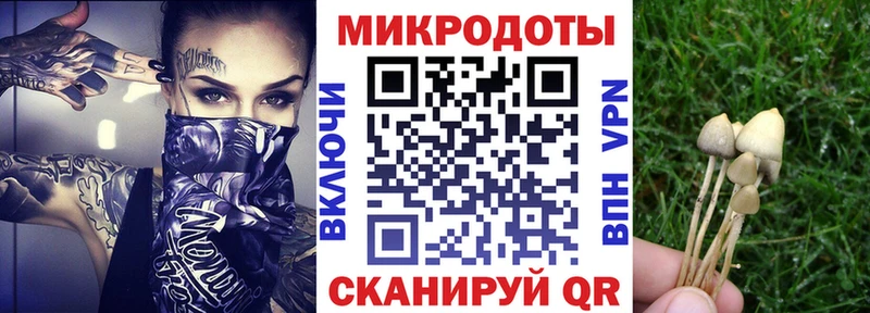 Галлюциногенные грибы Psilocybine cubensis Купить где Спасск-Дальний