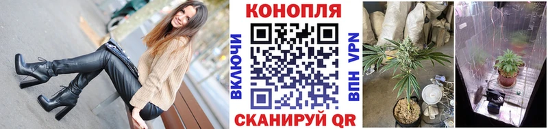 Бошки Шишки марихуана Купить где Спасск-Дальний